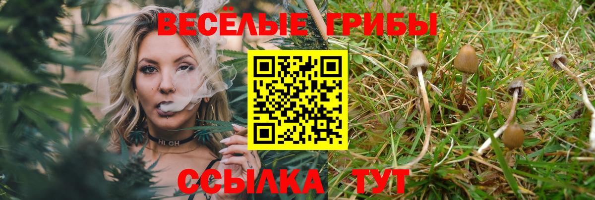 Галлюциногенные грибы ЛСД  Вход с VPN  Красноармейск 